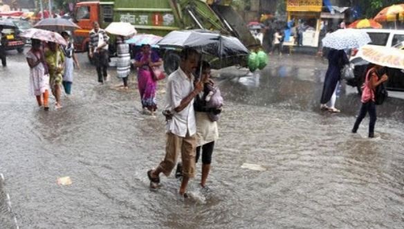 Overnight rain claims 12 lives in Maharashtra Overnight rain claims 12 lives in Maharashtra