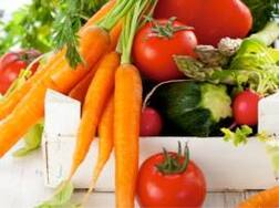 Veggies grown on Mars-like soil found safe for humans