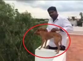 Horrifying video: Man throws dog from rooftop, clip goes viral; case registered in Chennai Horrifying video: Man throws dog from rooftop, clip goes viral; case registered in Chennai