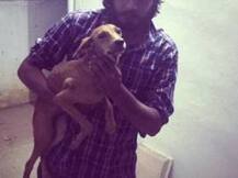 Chennai: Dog thrown from rooftop found alive