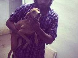 Chennai: Dog thrown from rooftop found alive
