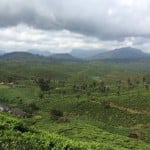 Dateline Nilgiris - Caste Vs Charisma in UP