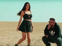 'DJ waale Babu', 'Nagin Tune' songs spark clashes at a wedding