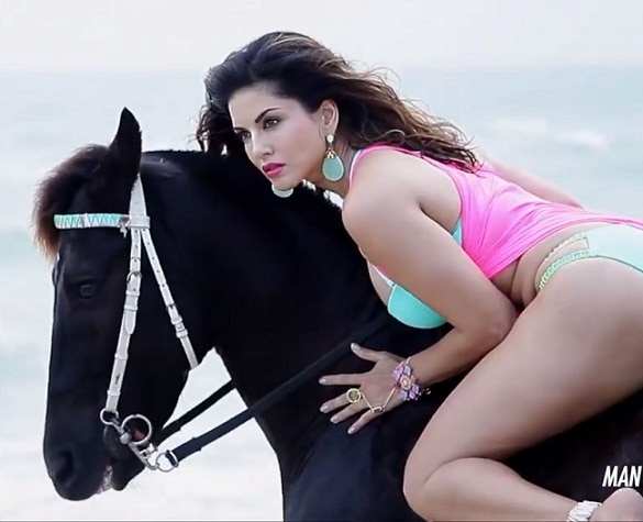 Horse Aur Sunny Leone Sexy Videos - Sunny Leone Sets The Screen On Fire In Her Latest Photoshoot