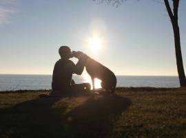 'A Road Trip To Remember': Man Takes His Dying Cancer-Stricken Dog On Last Trip Across America 'A Road Trip To Remember': Man Takes His Dying Cancer-Stricken Dog On Last Trip Across America
