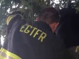 Woman gets stuck in tree inside a cemetery while playing Pokemon Go!