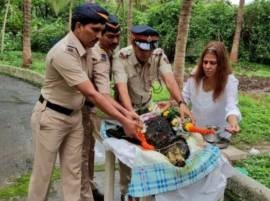 26/11 Canine Hero 'Tiger' Passes Away 26/11 Canine Hero 'Tiger' Passes Away