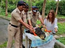 26/11 Canine Hero 'Tiger' Passes Away