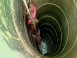 Watch: A calf being rescued by fire officials after it fell into a well in Mirzapur Watch: A calf being rescued by fire officials after it fell into a well in Mirzapur