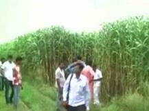 Woman, daughter dragged from car and gangraped in Bulandshahar; Mayawati says ‘jungleraj’ in UP