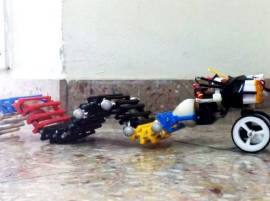 This wave-propelled robot can swim, crawl and climb