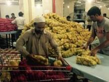 Tough days for Indian expats in Saudi Arabia, Gulf