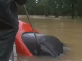 Video shows woman, dog being rescued from car sinking in floodwater Video shows woman, dog being rescued from car sinking in floodwater