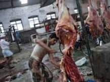 SC notice to Maharashtra government on plea against beef from outside state