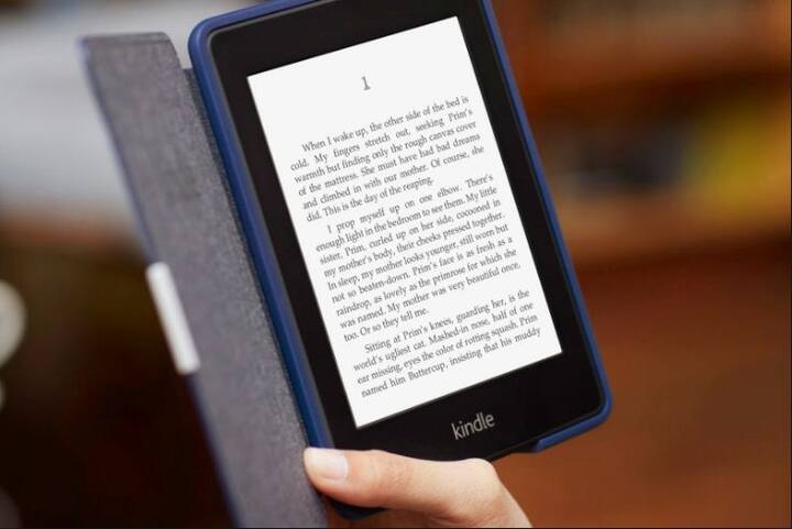 Kindle: Books have always been a friend to most of us. If you know that your sister is a book lover, then it is the right time you gift her a Kindle where thousands of books are available on digital screen. Kindle is available in the market from 6k to 25k