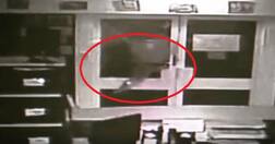 Watch when 3 deadly crocodiles set loose in a school admin office by 4 youngsters