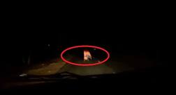 Creepy: ‘Real ghost’ encounter footage by Kollywood star Soori goes viral