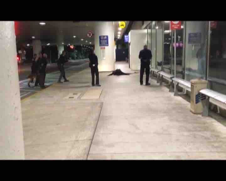 Not shots fired at Los Angeles (LAX) airport, 'loud noises only': Police Not shots fired at Los Angeles (LAX) airport, 'loud noises only': Police