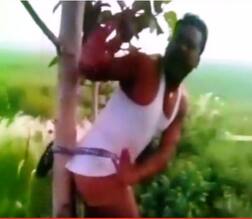 Video: Locals tie illegal liquor-trader by tree in Bihar, thrash him