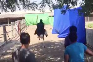 Bizarre video of man riding an Ostrich through traffic goes viral