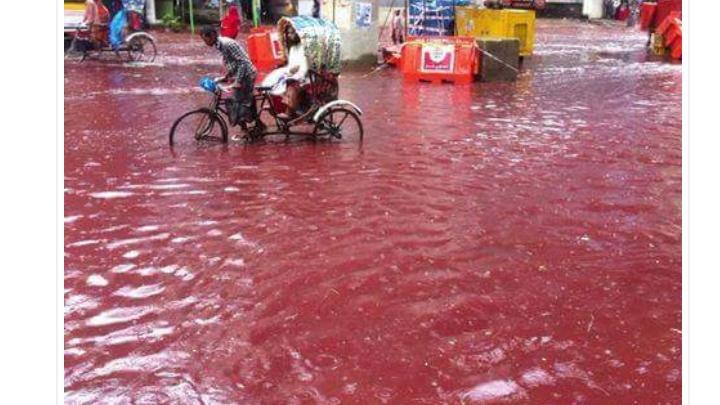 Massive animal sacrifice turn Dhaka streets blood red after heavy rainfall Massive animal sacrifice turn Dhaka streets blood red after heavy rainfall