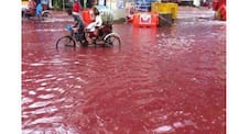 Massive animal sacrifice turn Dhaka streets blood red after heavy rainfall