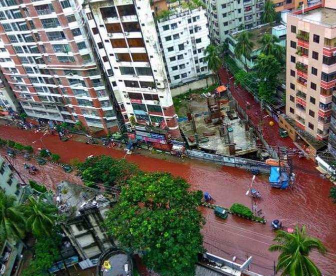 Massive animal sacrifice turn Dhaka streets blood red after heavy rainfall