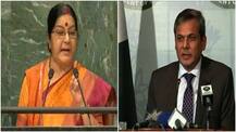Sushma Swaraj disowned UN resolutions in speech: Pakistan
