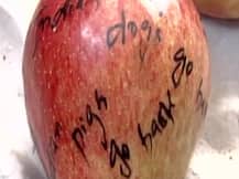 Man buys apples in Sirsa, finds anti-India slogans written on them