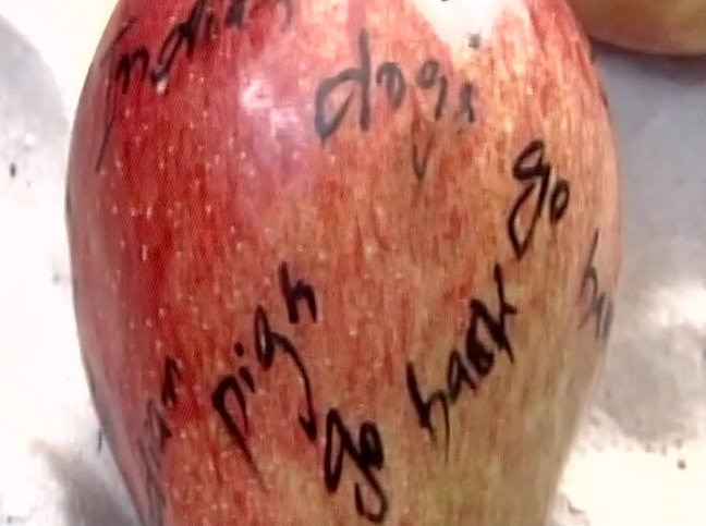 Man buys apples in Sirsa, finds anti-India slogans written on them Man buys apples in Sirsa, finds anti-India slogans written on them