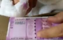 WATCH VIDEO: Is the colour of the new 2000-rupee note fading out?