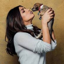 Priyanka Chopra welcomes new member in her family