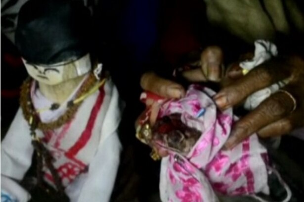 Bizarre wedding: Frog married to a bamboo puppet to ensure rainfall in Assam