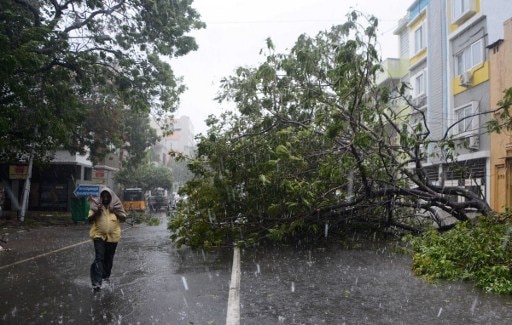 Death toll due to Cyclone Vardah rises to ten in Tamil Nadu Death toll due to Cyclone Vardah rises to ten in Tamil Nadu