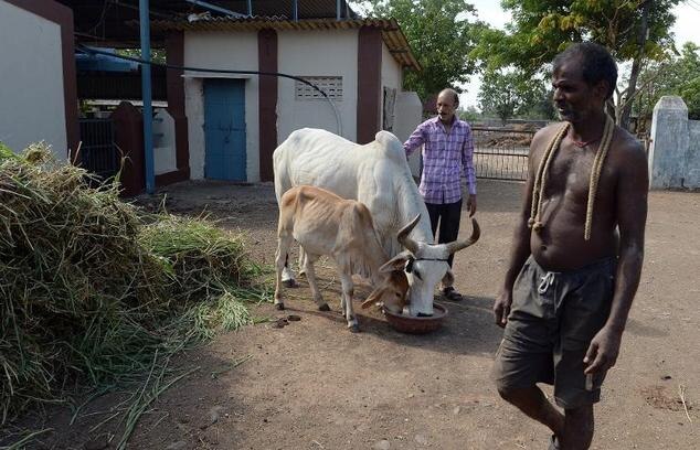 Man dies after being forced to stand on one leg for calf death Man dies after being forced to stand on one leg for calf death