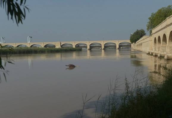 Jammu siblings drown in Chenab river while taking selfie Jammu siblings drown in Chenab river while taking selfie