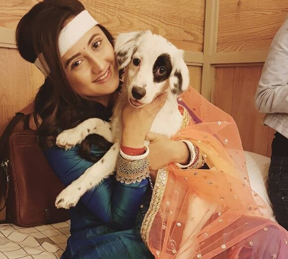 Rashami Desai meets with an accident on the sets of comeback show 'Dil se dil tak' Rashami Desai meets with an accident on the sets of comeback show 'Dil se dil tak'