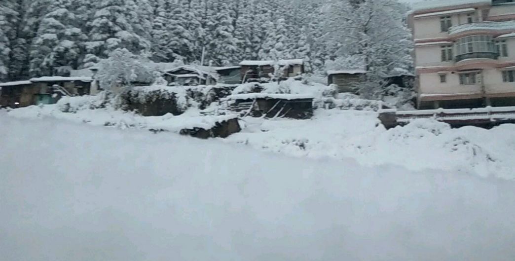 Traffic to tourist destinations Shimla, Manali and Dalhousie cut off after heavy snowfall