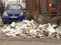 EDMC sanitation workers strike: East Delhi garbage raises fear of disease
