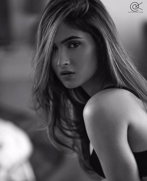 (Image Courtesy - Instagram/Amitkhannaphotography, KarishmaSharma)