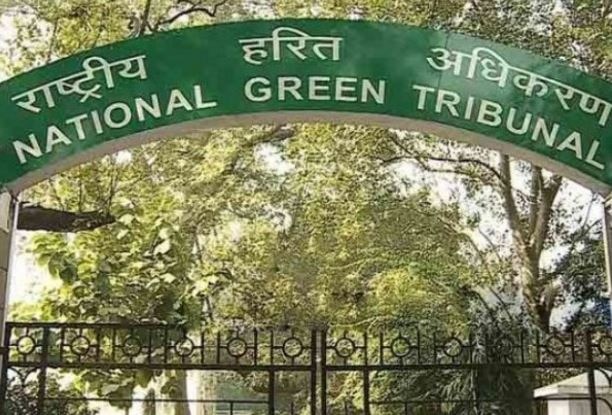 Garbage menace in Delhi: NGT issues notices to AAP, EDMC and Sanitation Workers Union Garbage menace in Delhi: NGT issues notices to AAP, EDMC and Sanitation Workers Union