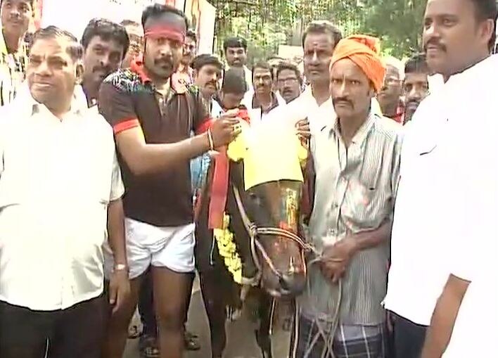 Jallikattu Row: 28 arrested for defying ban, DMK to hold state-wide stir against Centre today
