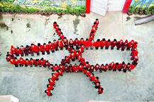 Bihar liquor ban: How will it help, ask humans in the chain