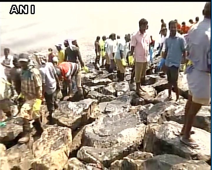 Chennai: Work on to clear oil spill along shoreline, says Official Chennai: Work on to clear oil spill along shoreline, says Official