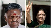 Panneerselvam, Sasikala take jibes at each other