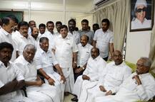 Panneerselvam camp dismisses Sasikala, Dinakaran from party