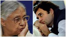 Rahul is still not mature, please give him time: Sheila Dikshit