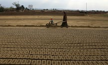 A day without a woman: A reflection on women achievers