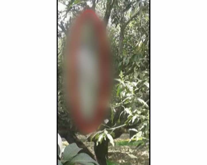 Bulandshahr: Girl's body found hanging from tree, rape suspected Bulandshahr: Girl's body found hanging from tree, rape suspected