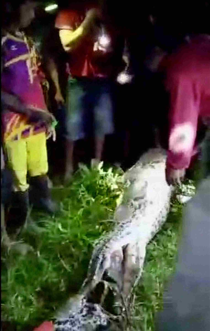 SHOCKING: Villagers slice open python, find Indonesian man’s body   SHOCKING: Villagers slice open python, find Indonesian man’s body  